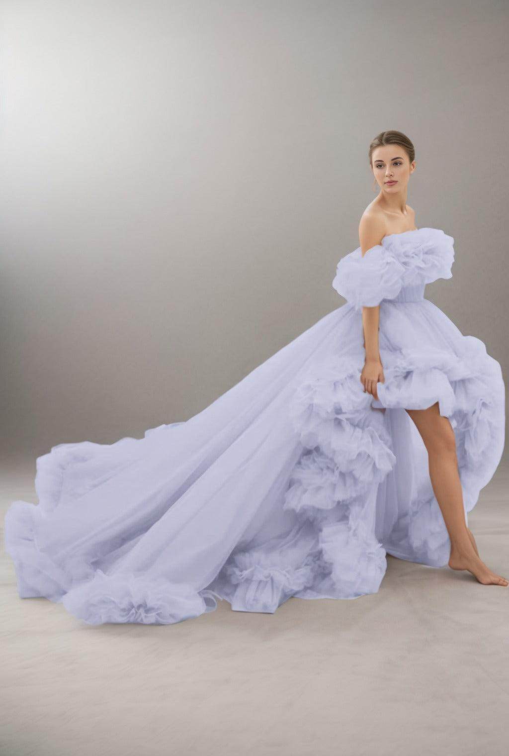 A-Line Court Train Tulle Prom Dress CS0406 - COCOMELODY