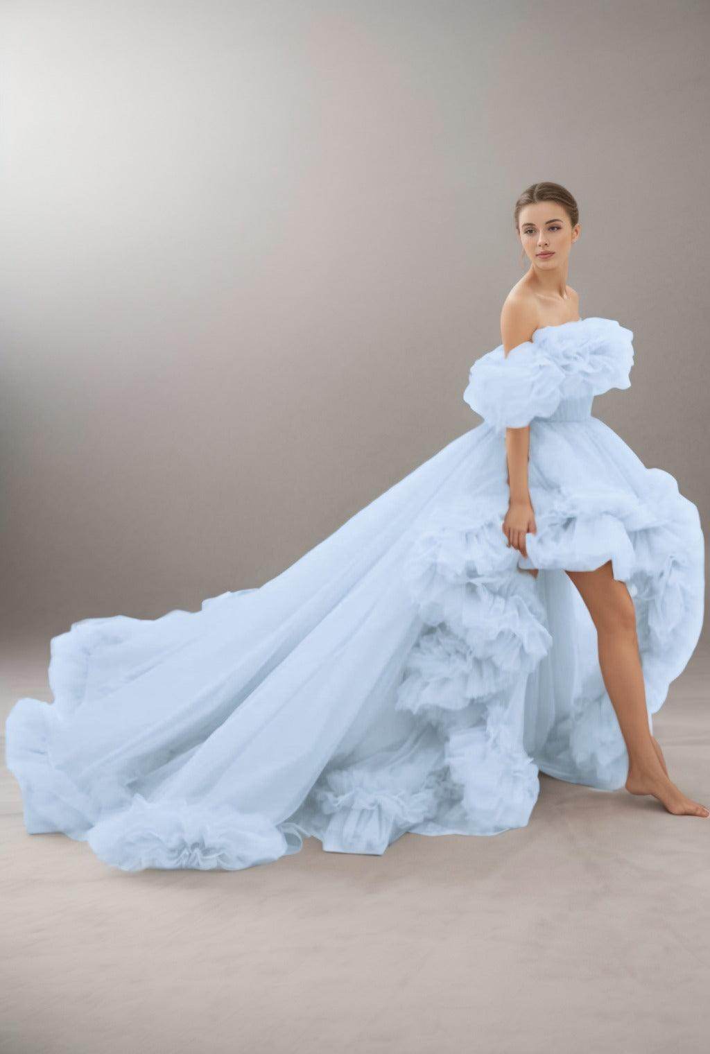A-Line Court Train Tulle Prom Dress CS0406 - COCOMELODY