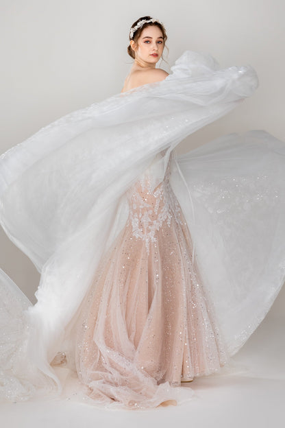 Trumpet-Mermaid Chapel Train Lace Wedding Dress CW2493