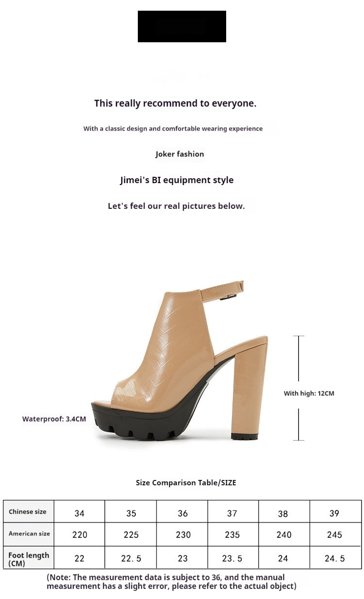 Peep Toe Ankle Strap Pointy Block Heel Sandals 666210033920 - COCOMELODY