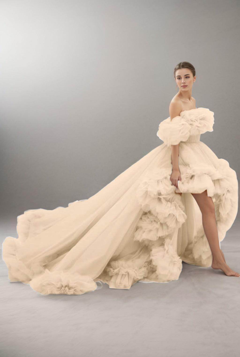A-Line Court Train Tulle Prom Dress CS0406 - COCOMELODY
