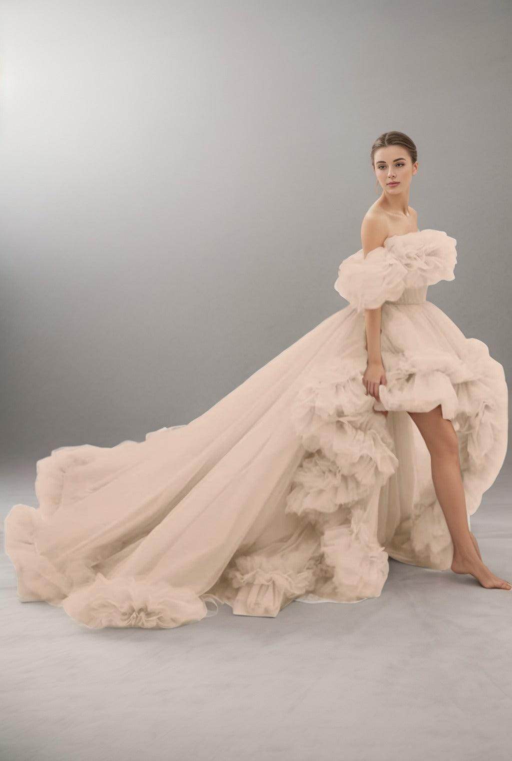 A-Line Court Train Tulle Prom Dress CS0406 - COCOMELODY