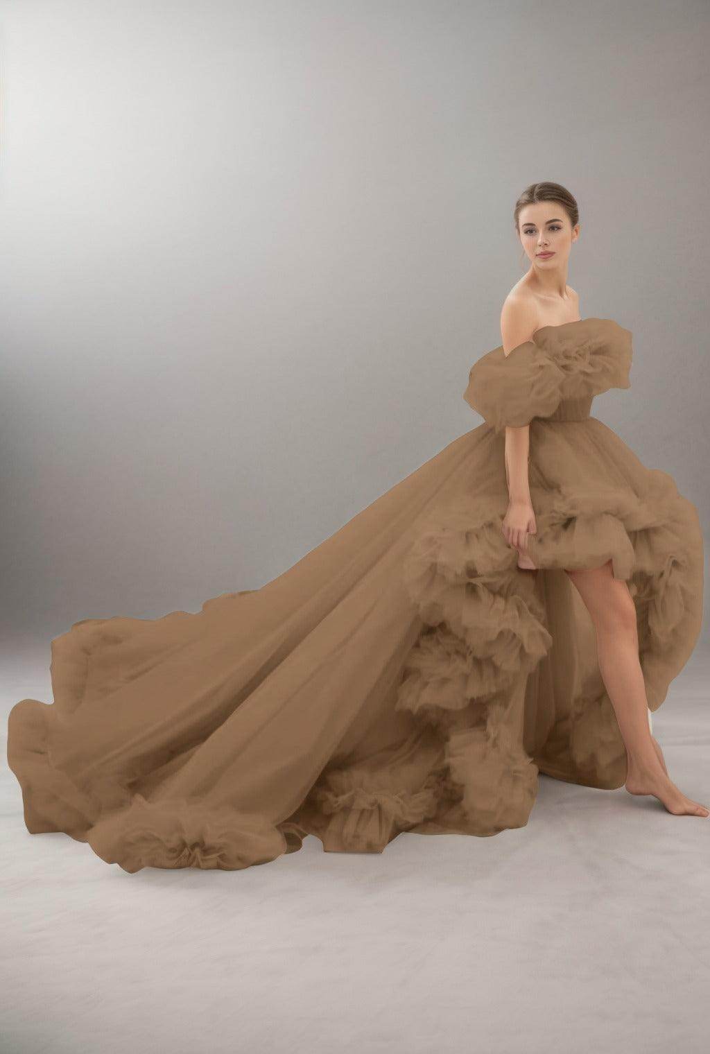 A-Line Court Train Tulle Prom Dress CS0406 - COCOMELODY