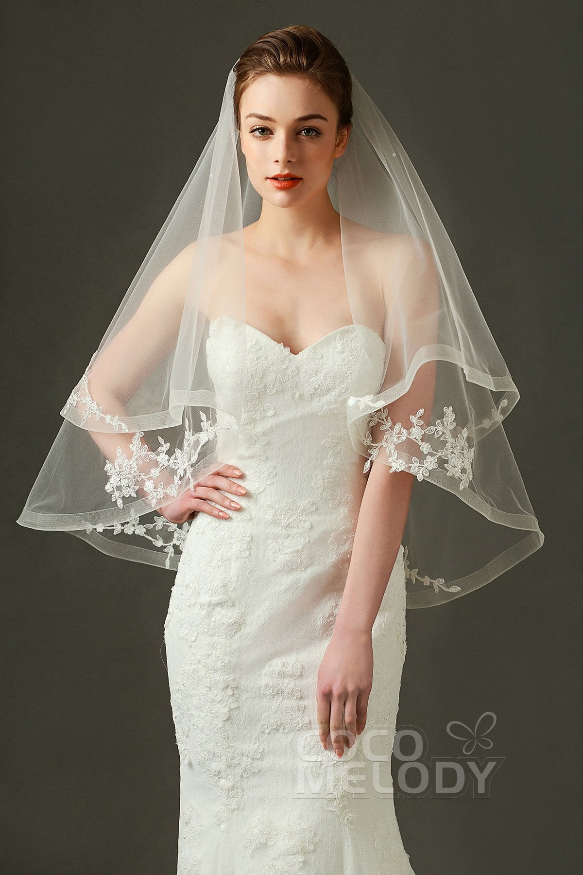One-tier Lace Edge Tulle Hip Veils with Appliques AV160029