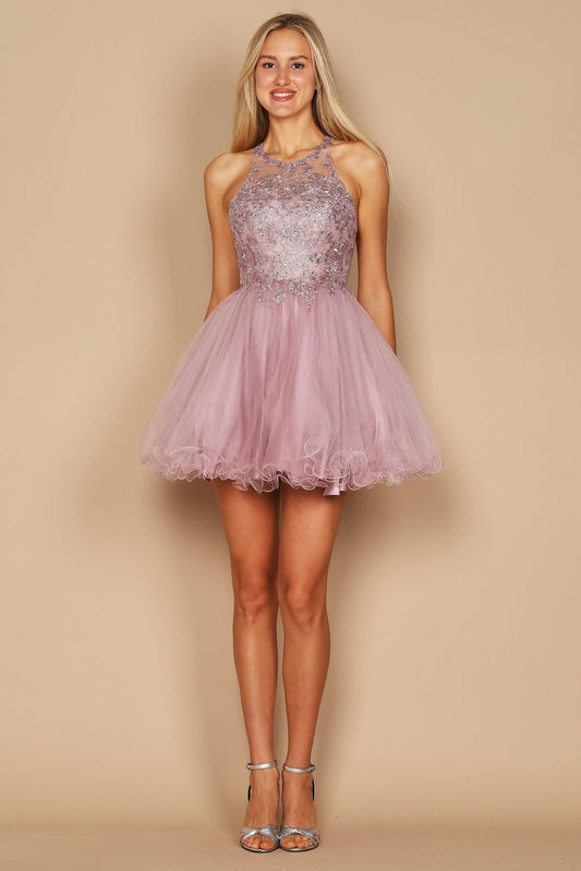 A-Line Short-Mini Lace Tulle Dress CG0225