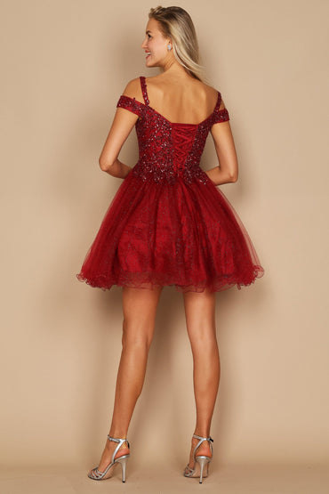 A-Line Short-Mini Lace Tulle Dress CG0245