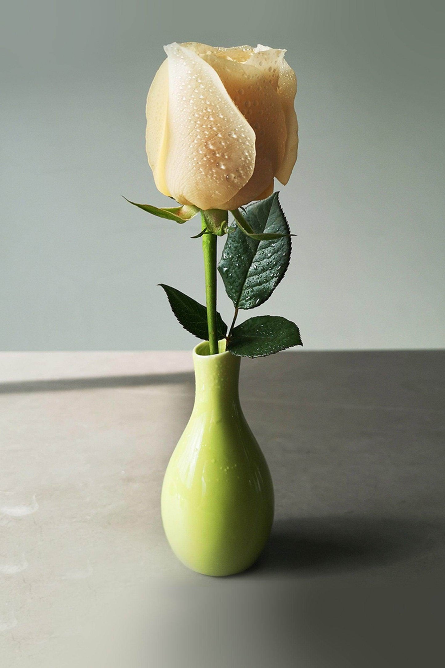 Hand-Painted Ceramic Bud Vases CGF0196 - COCOMELODY