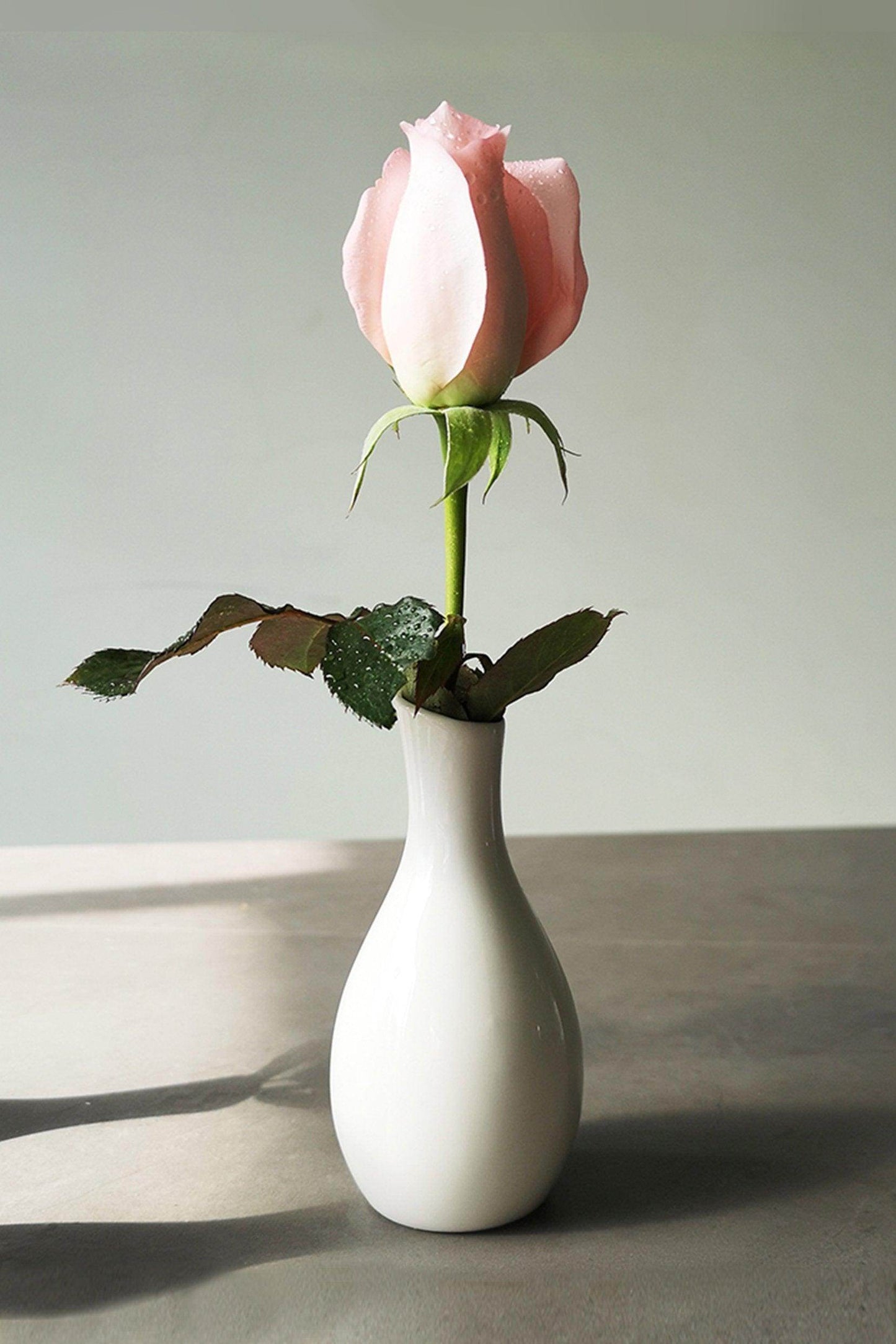 Hand-Painted Ceramic Bud Vases CGF0196 - COCOMELODY