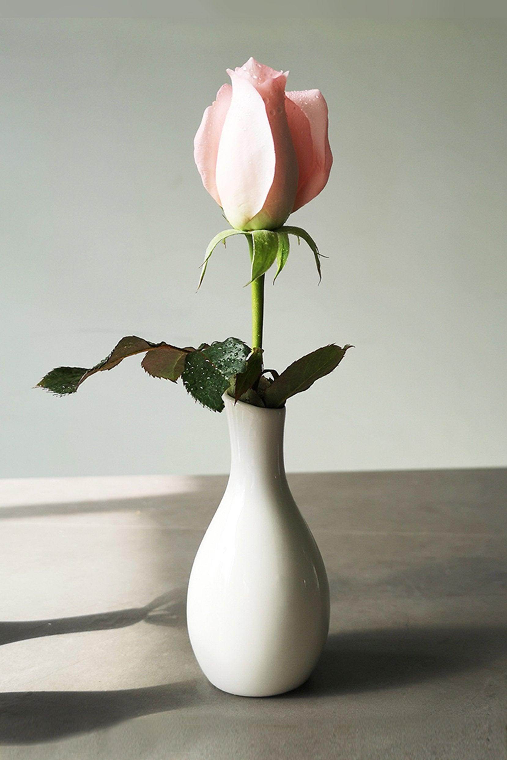 Hand-Painted Ceramic Bud Vases CGF0196 - COCOMELODY