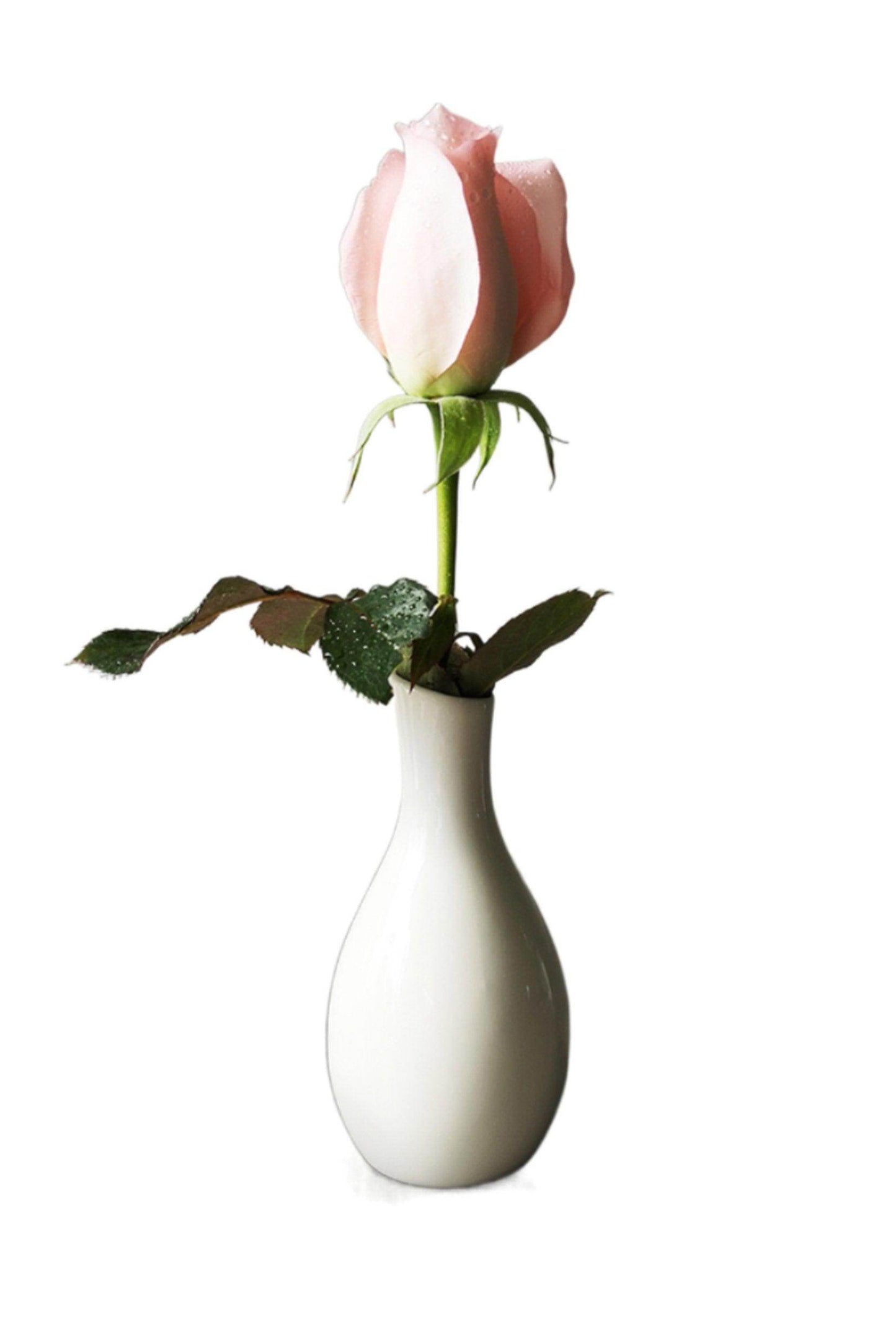 Hand-Painted Ceramic Bud Vases CGF0196 - COCOMELODY