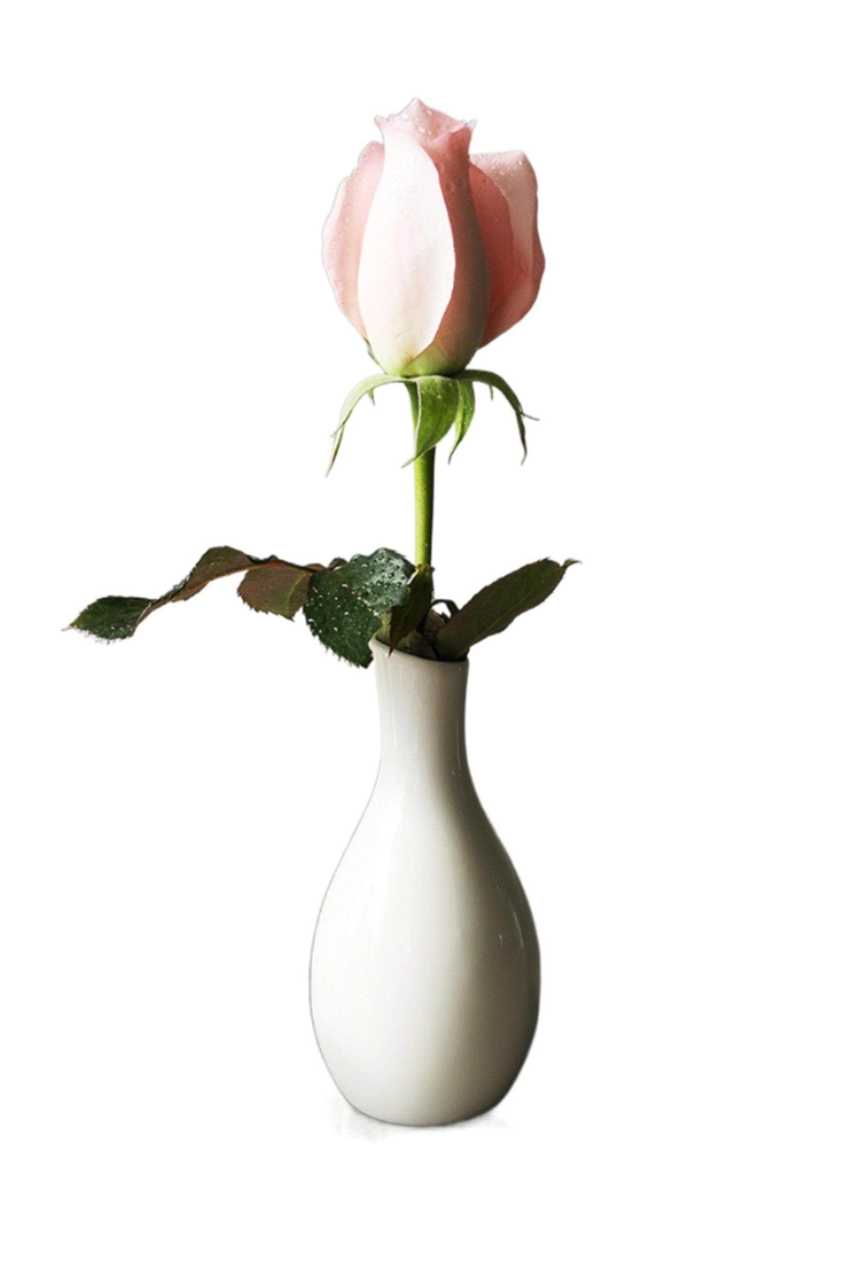 Hand-Painted Ceramic Bud Vases CGF0196 - COCOMELODY