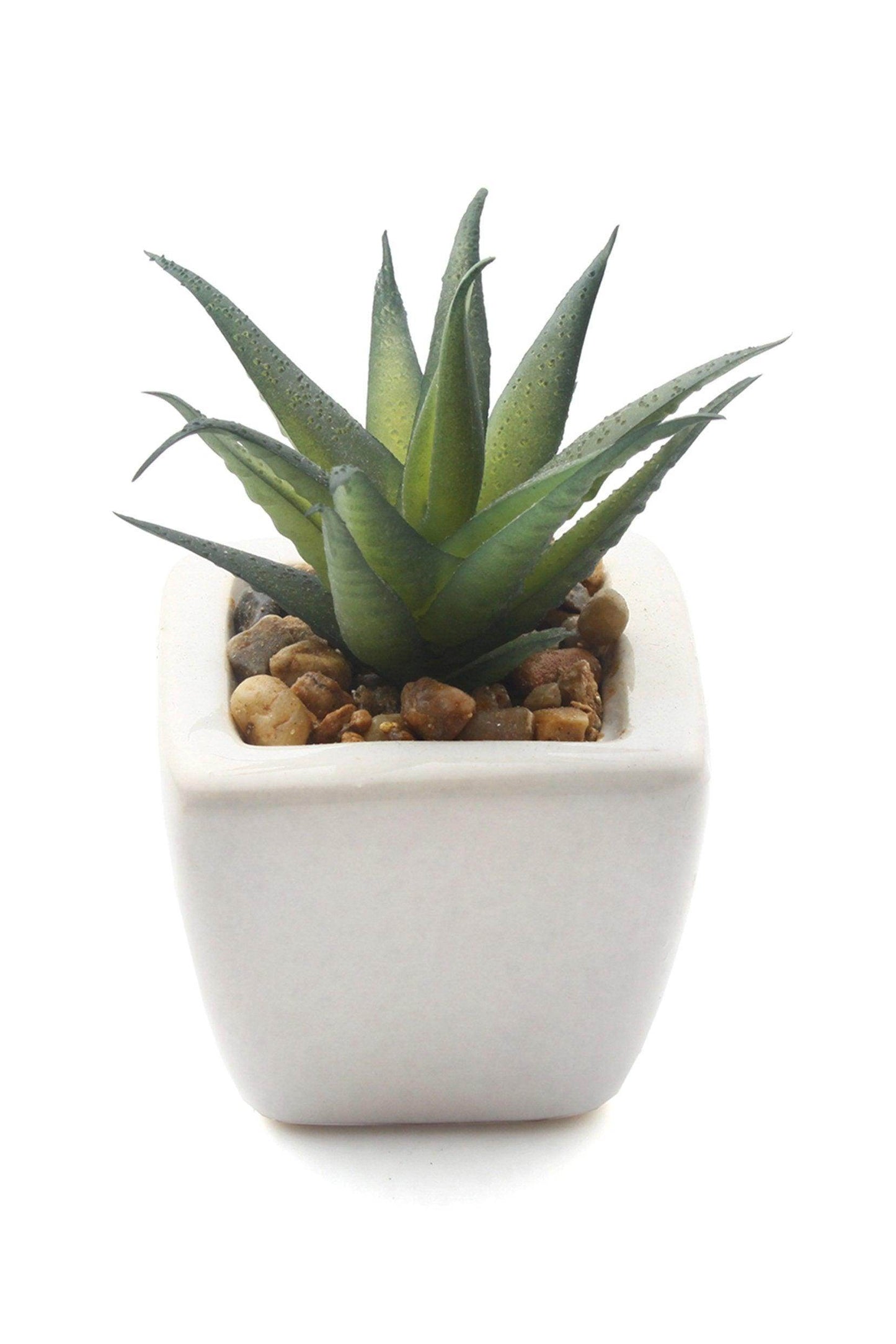 Lifelike Succulent Plant Decor-6 Assortment Pack CGF0197 (Set of 1 pcs) - COCOMELODY