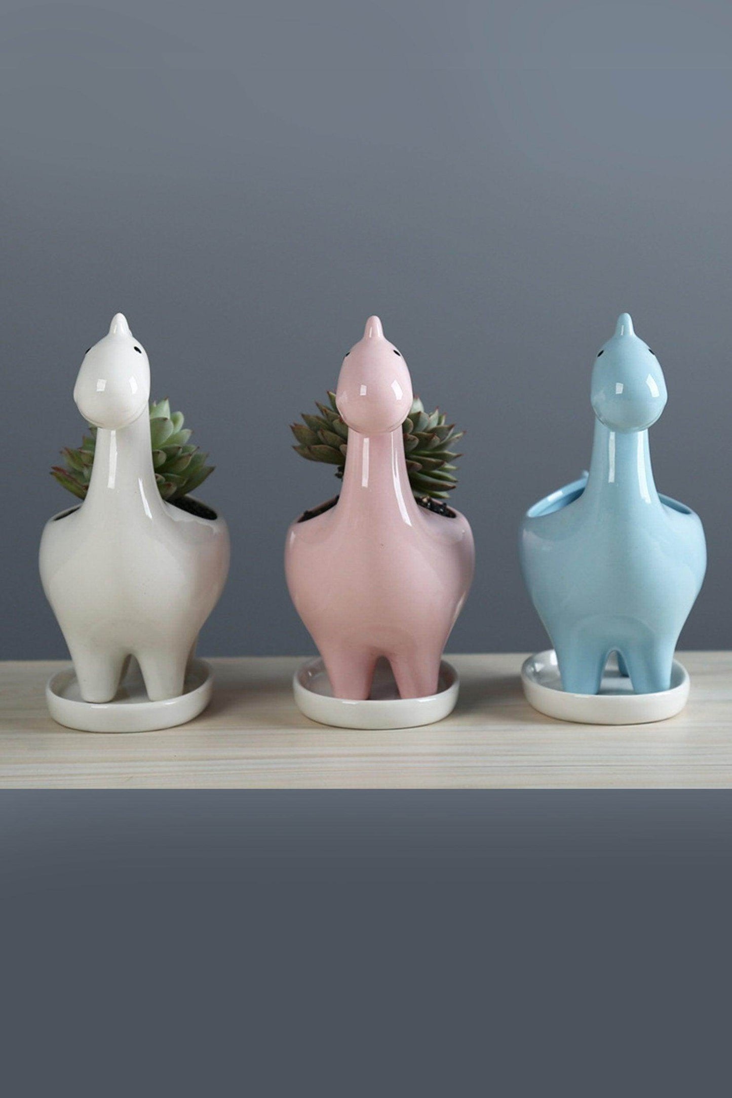 Dinosaur Planters CGF0198 (Set of 1 pcs) - COCOMELODY