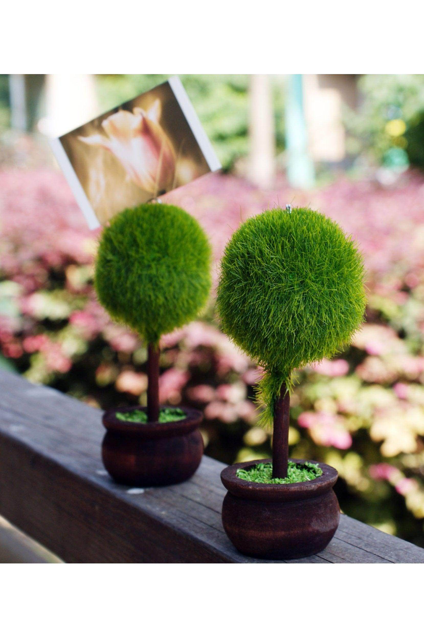 Topiary Place Card Holders CGF0212 (Set of 6 pcs) - COCOMELODY