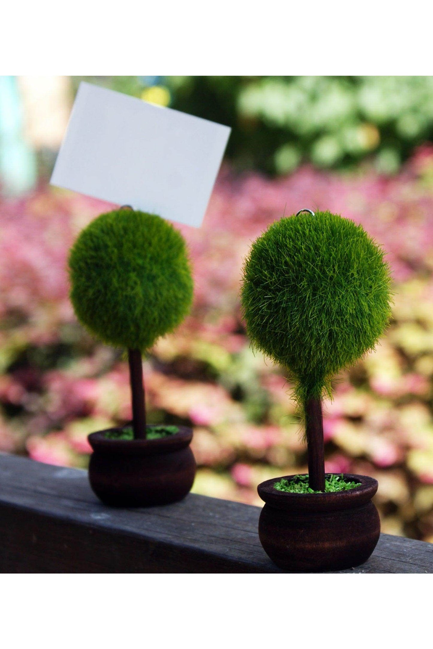 Topiary Place Card Holders CGF0212 (Set of 6 pcs) - COCOMELODY