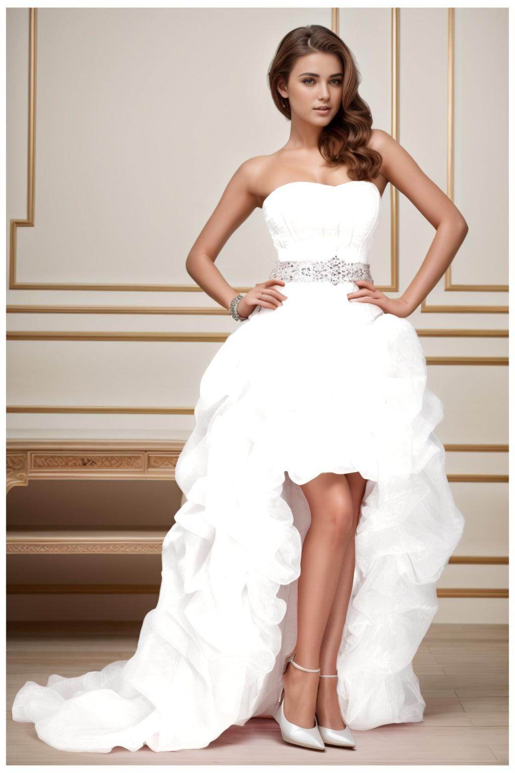 Ball Gown High-Low Organza Homecoming Dresses CS0534 - COCOMELODY
