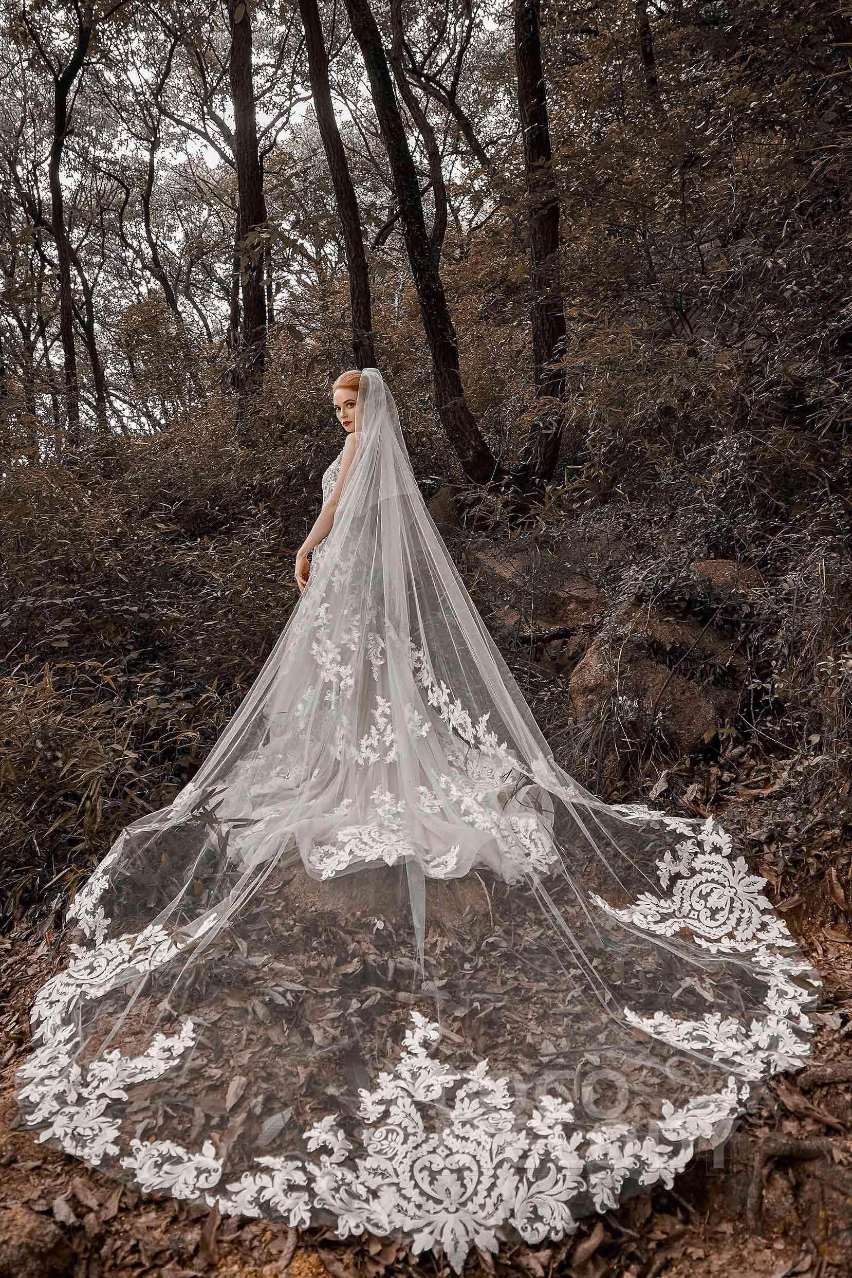 Two-tier Lace Edge Tulle Cathedral Veils Appliques COCOMELODY CV0184 45 Days / Ivory Two-tier Lace Edge Tulle Cathedral Veils Appliques COCOMELODY CV0184 45 Days / Ivory