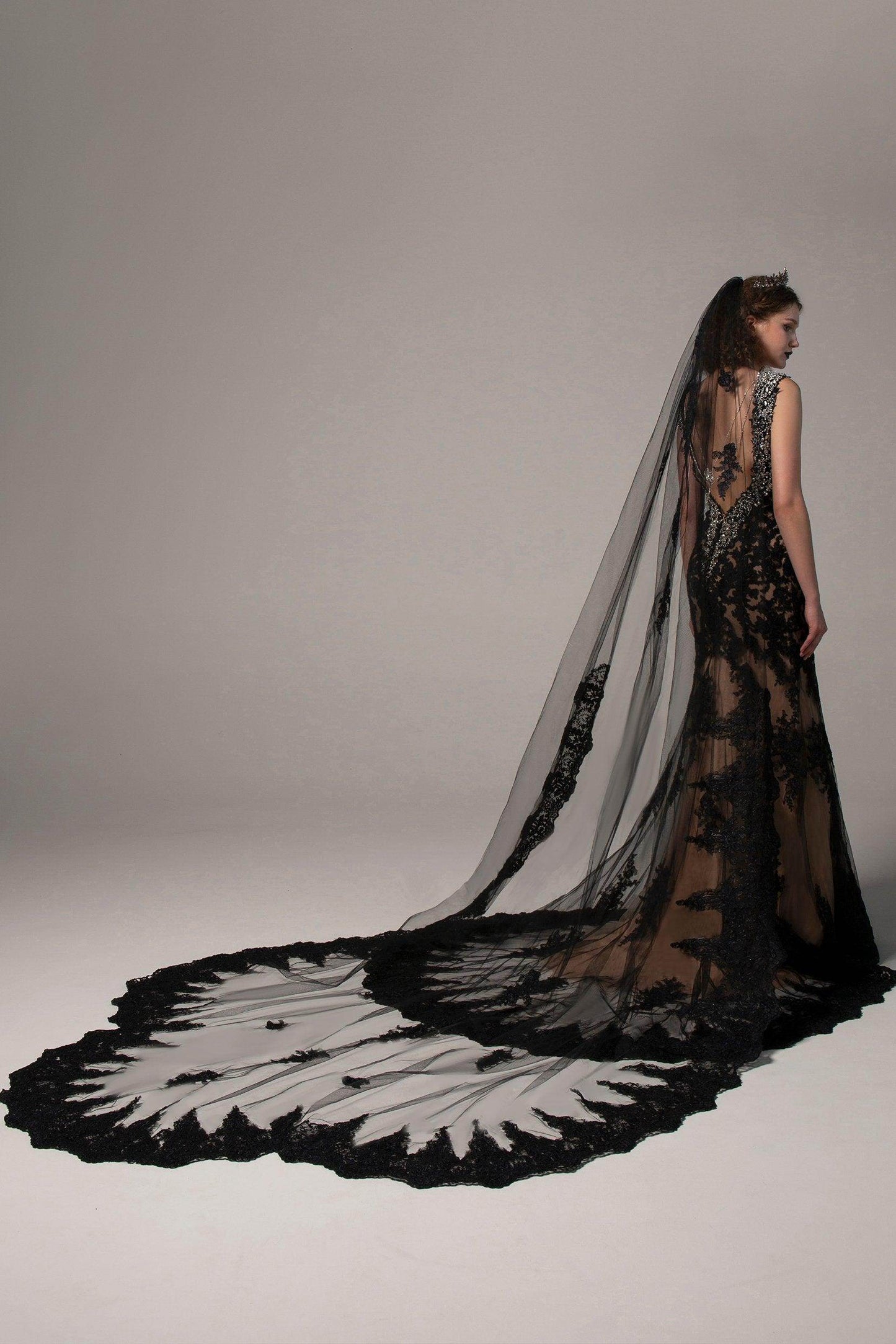 One-tier Lace Edge Tulle Cathedral Veils Appliques CV0232 - COCOMELODY