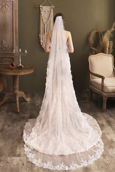 One-tier Lace Edge Tulle Chapel Veils with Appliques CV0264