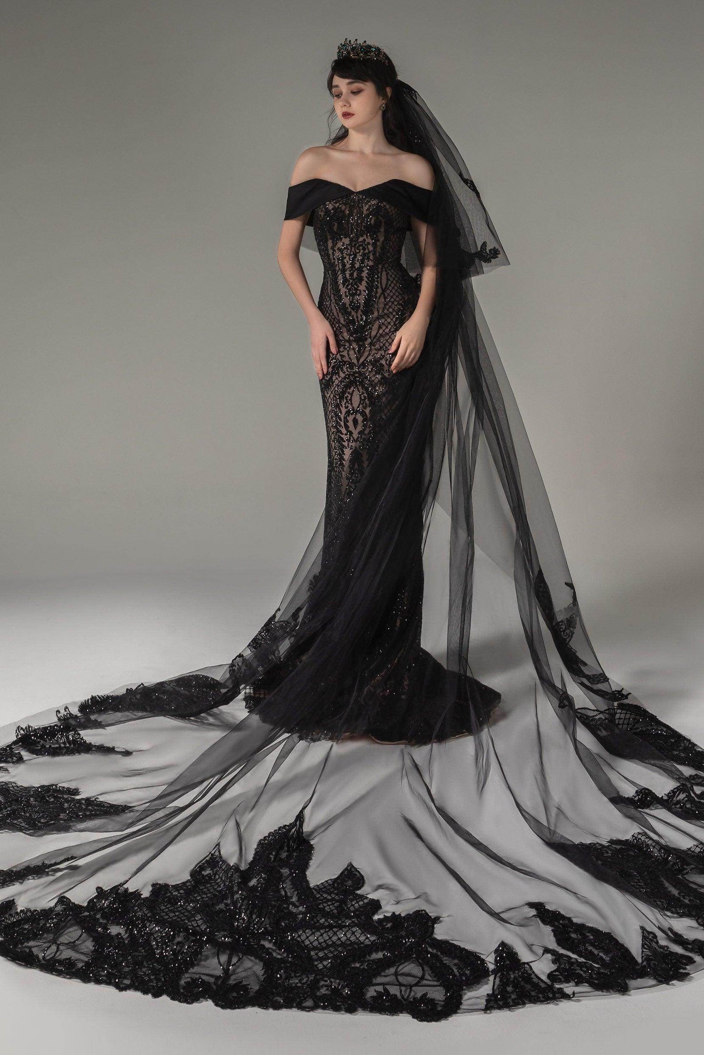 Two-tier Lace Edge Tulle Lace Cathedral Veils with Appliques CV0278 - COCOMELODY