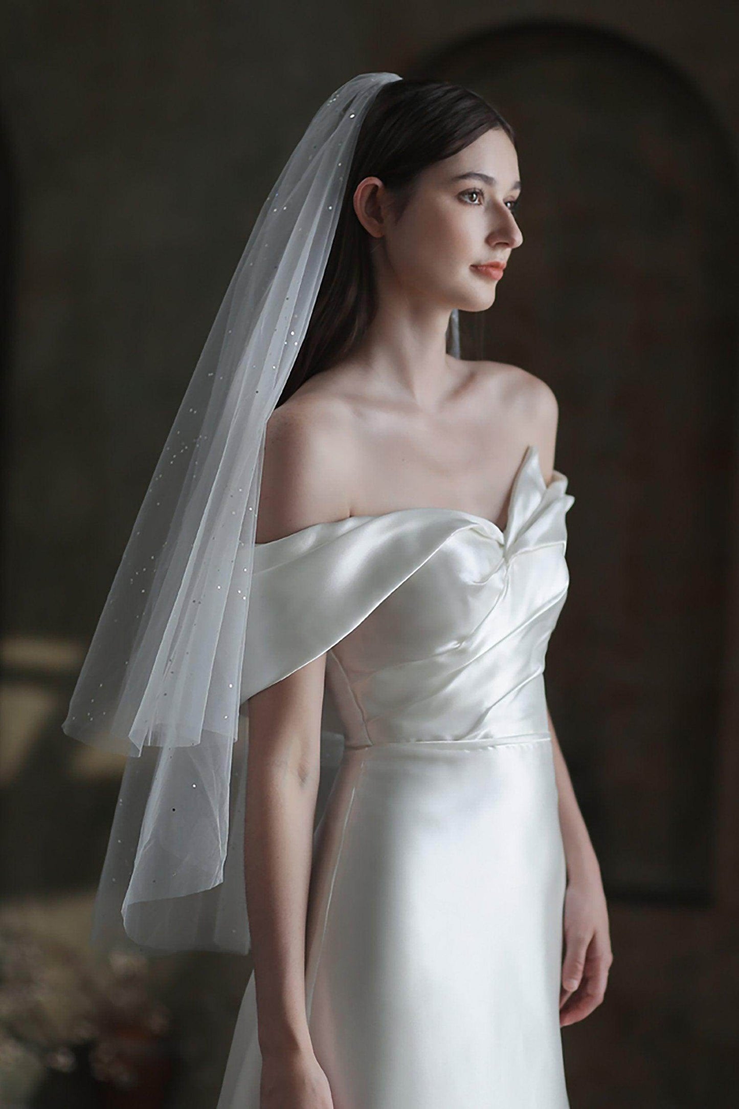 Two-tier Cut Edge Tulle Waist Veils with Sequin CV0312 - COCOMELODY
