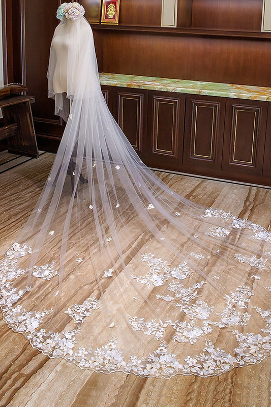 Two-tier Lace Edge Tulle Lace Cathedral Veils with Appliques CV0357