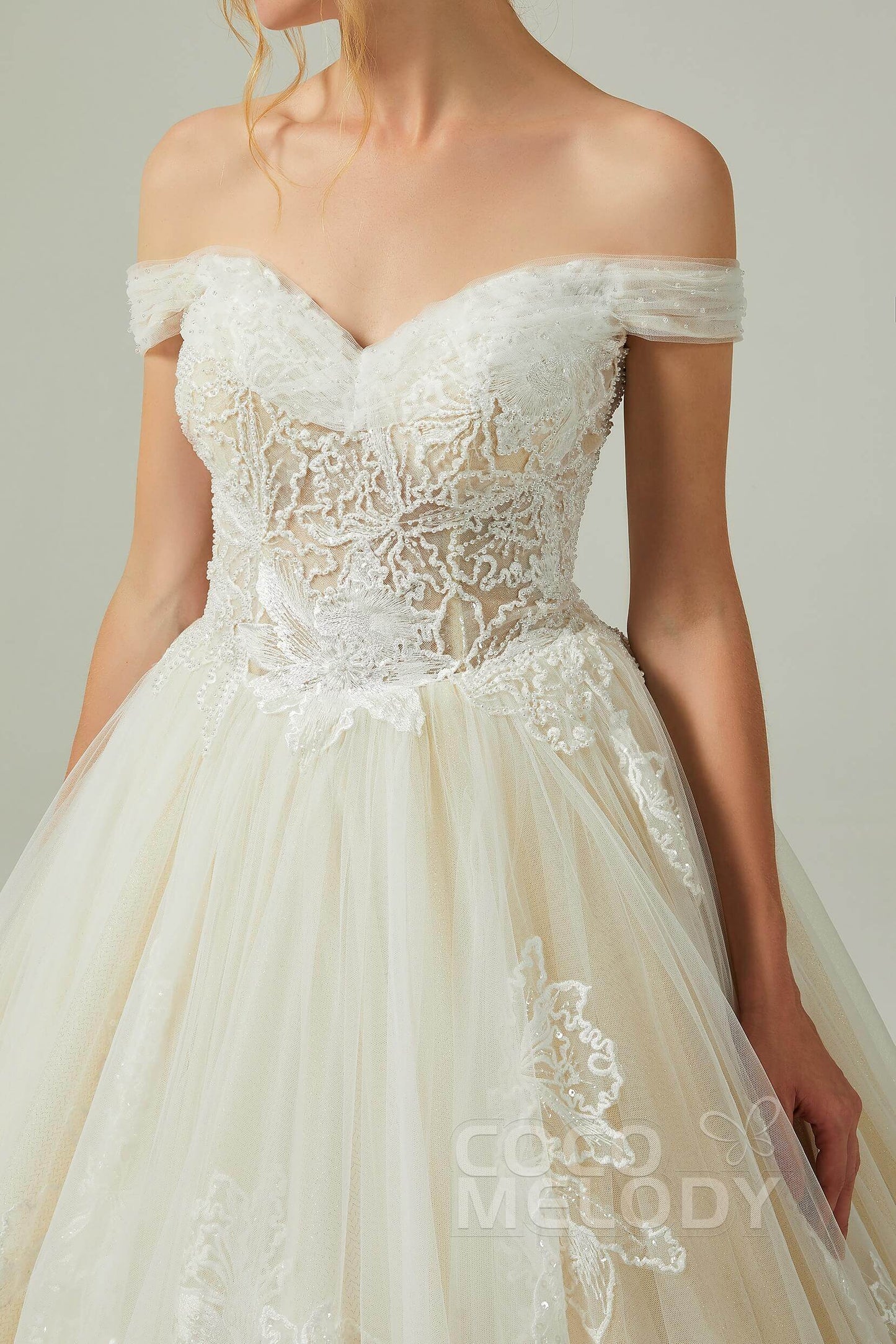 A-Line Chapel Train Tulle Wedding Dress CW2167 - COCOMELODY