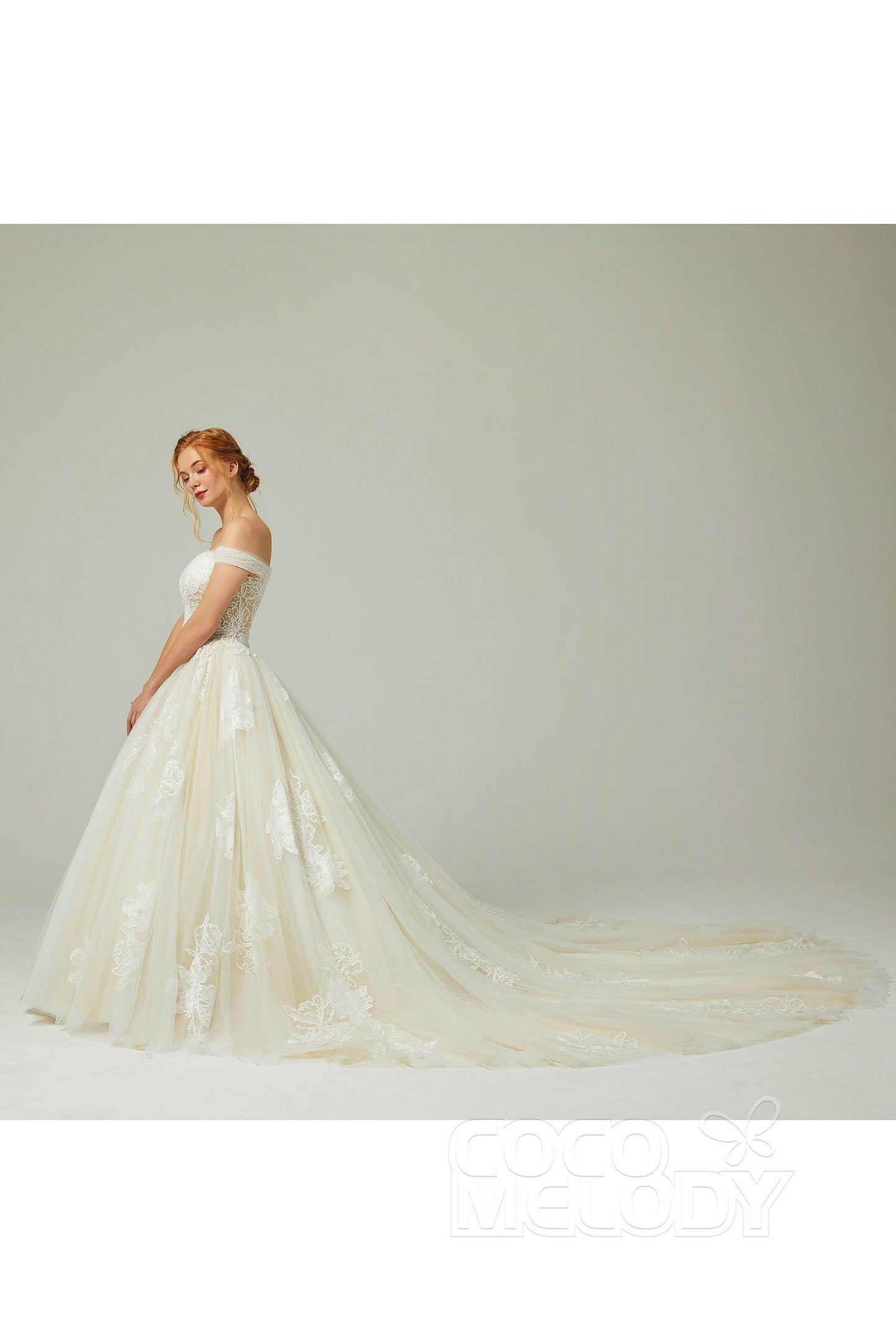A-Line Chapel Train Tulle Wedding Dress CW2167 - COCOMELODY