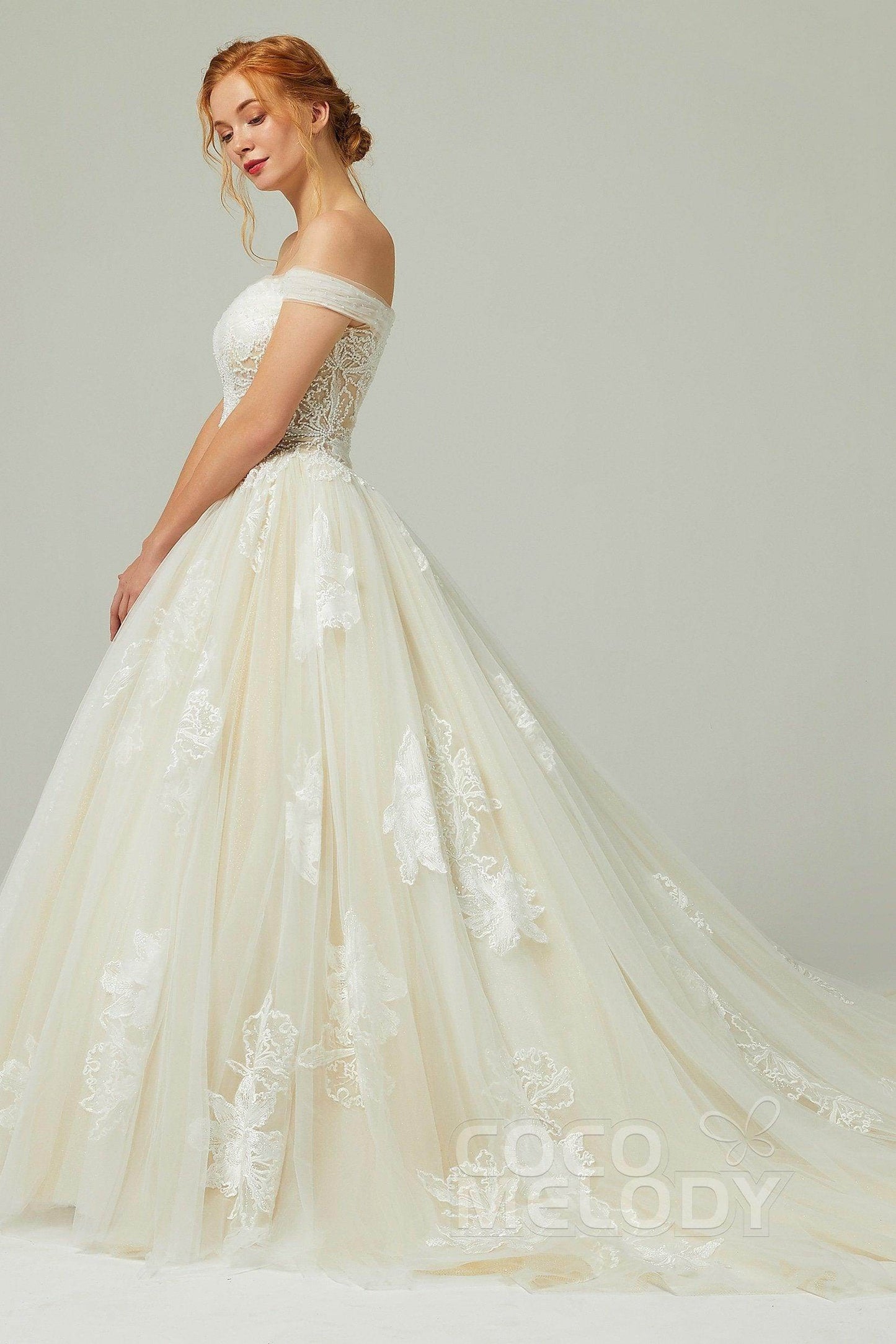 A-Line Chapel Train Tulle Wedding Dress CW2167 - COCOMELODY