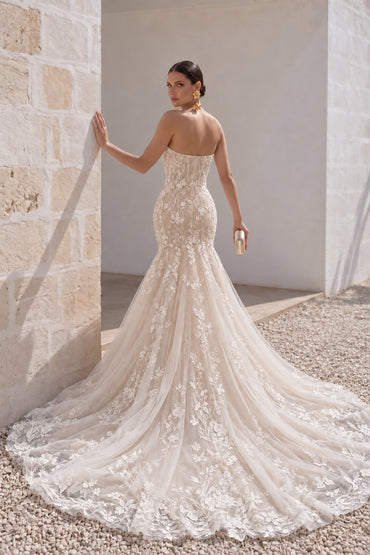 Trumpet-Mermaid Court Train Lace Tulle Wedding Dress CW2999