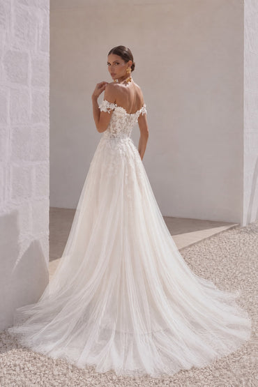A-Line Sweep-Brush Train Lace Tulle Wedding Dress CW3101