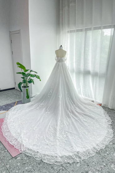 A-Line Cathedral Train Lace Tulle Wedding Dress CW3150