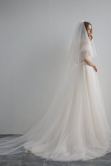 A-Line Sweep-Brush Train Lace Tulle Wedding Dress CW3220 - COCOMELODY