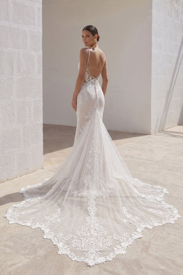 Trumpet-Mermaid Chapel Train Lace Tulle Wedding Dress CW3249