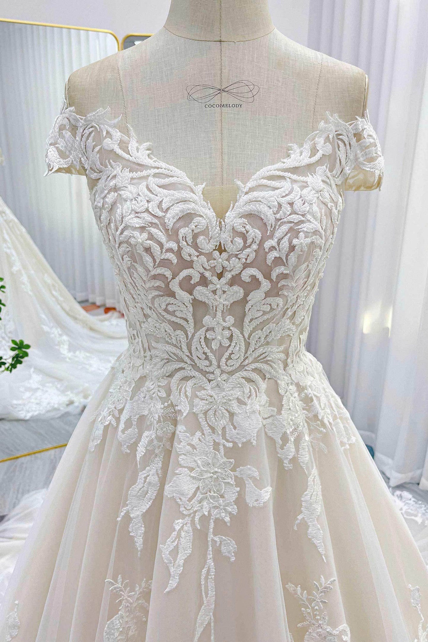 Ball Gown Chapel Train Lace Tulle Wedding Dress CW3261 - COCOMELODY