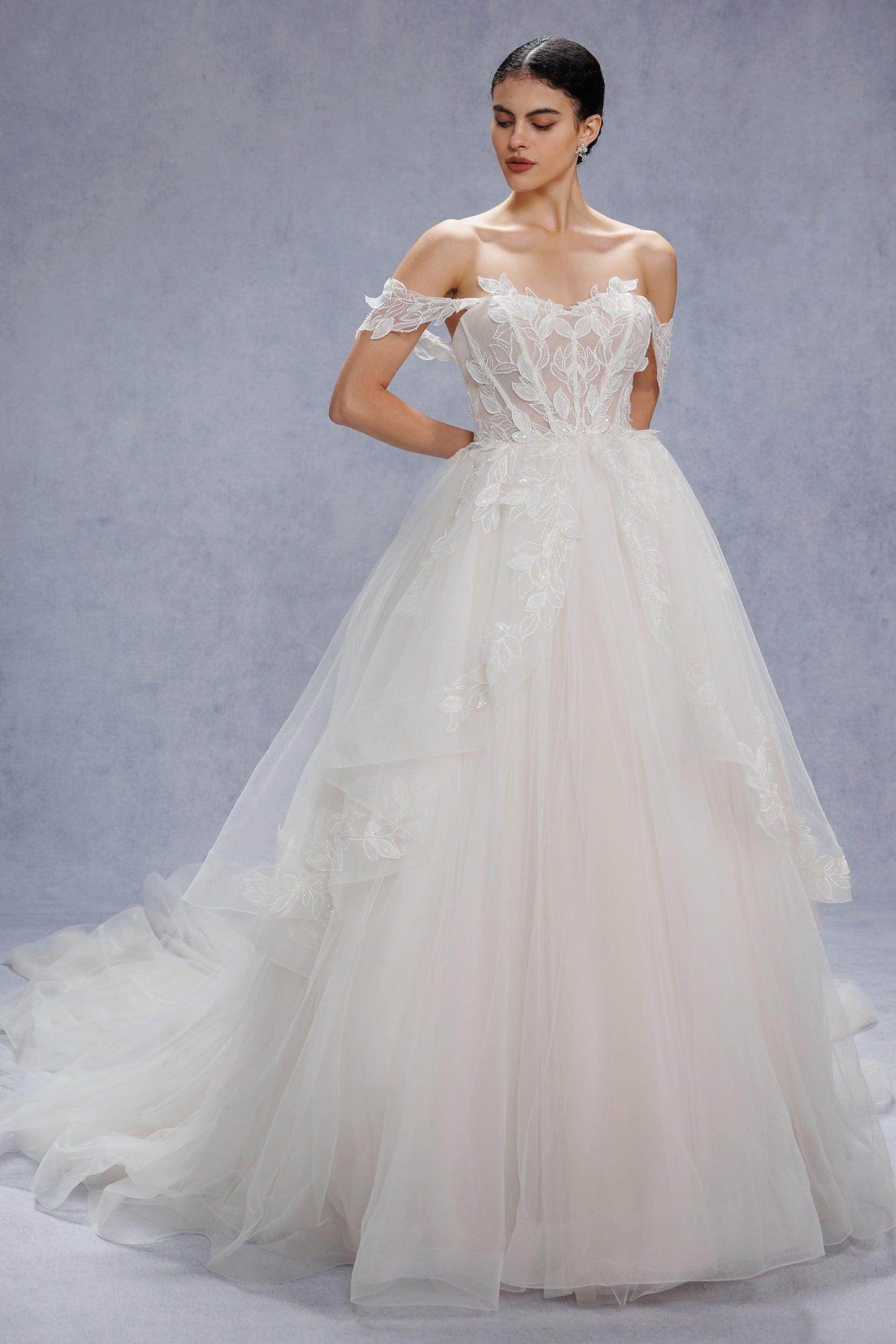Ball Gown Court Train Lace Tulle Wedding Dress CW3543 - COCOMELODY