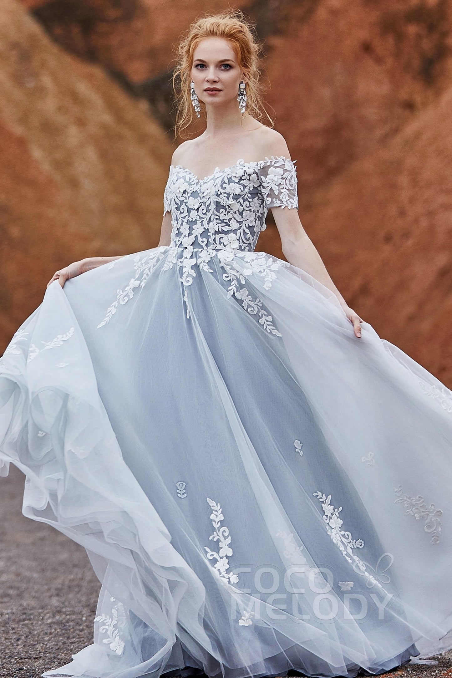 A-Line Sweep-Brush Train Tulle Gothic Wedding Dress LD5830