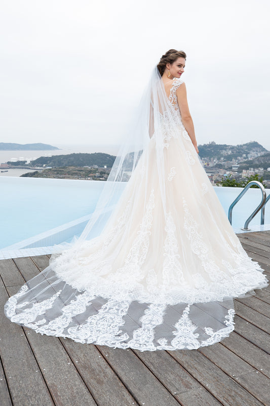 One-tier Lace Edge Tulle Cathedral Veils Appliques CV0187