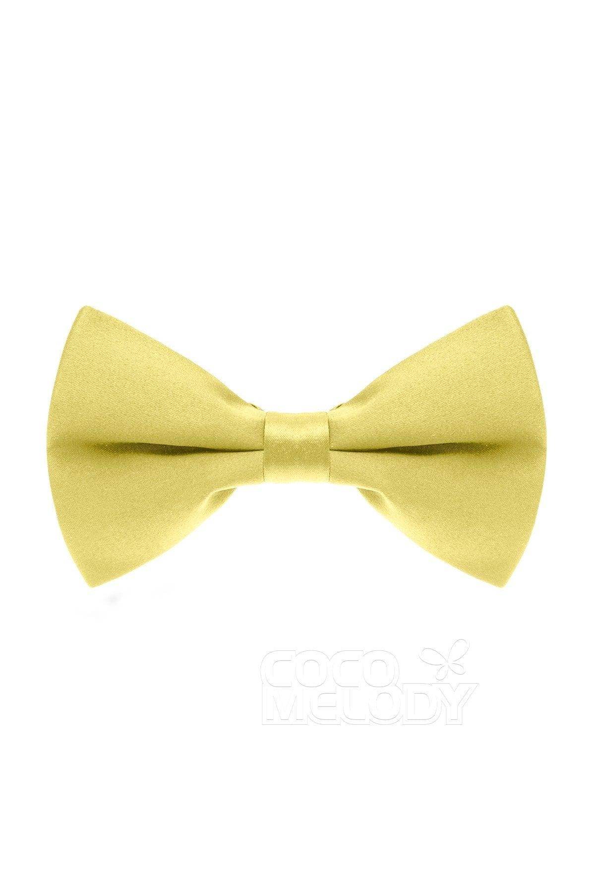 Men's Elastic Silk Like Satin Bow Ties CZ170016 - COCOMELODY