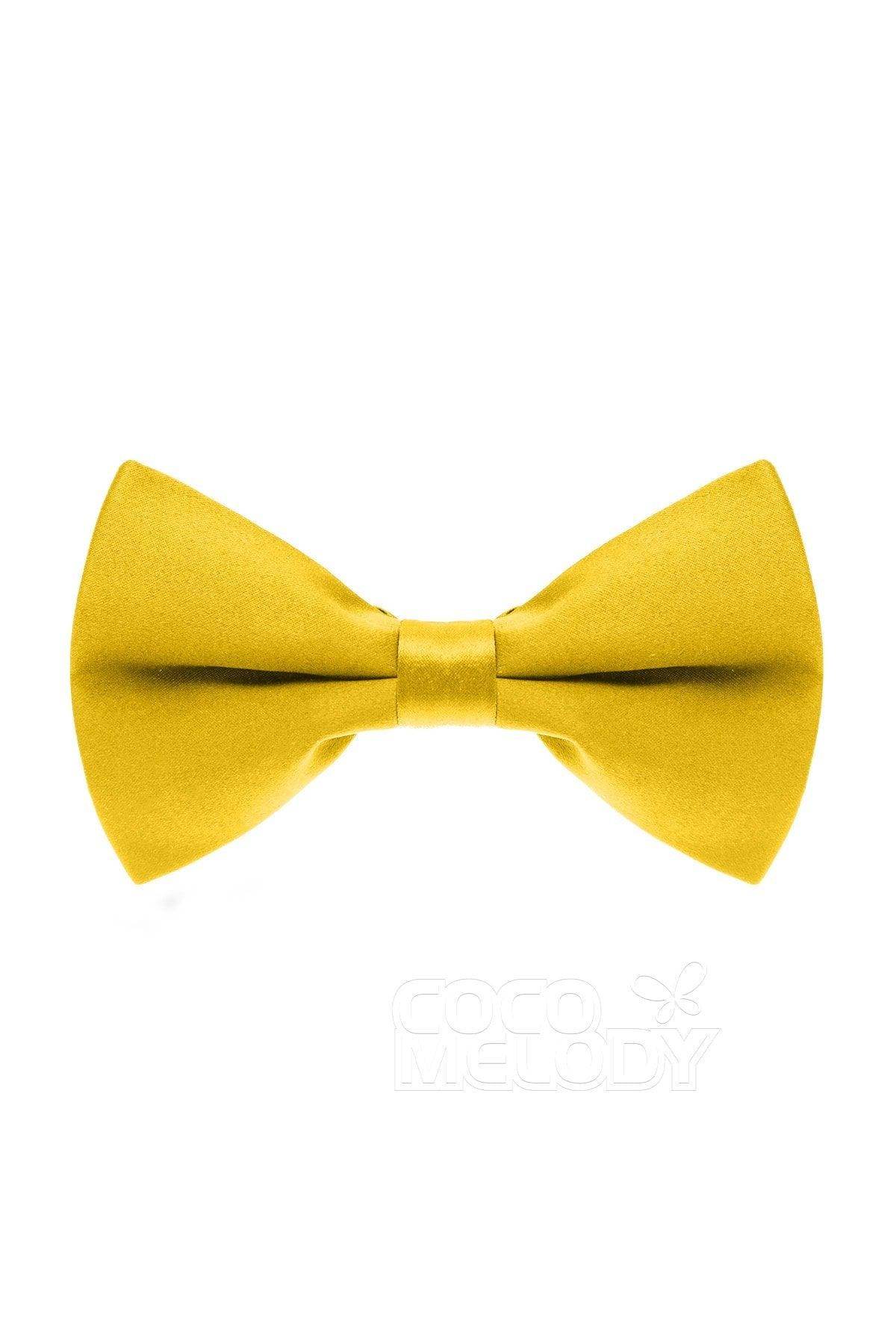 Men's Elastic Silk Like Satin Bow Ties CZ170016 - COCOMELODY