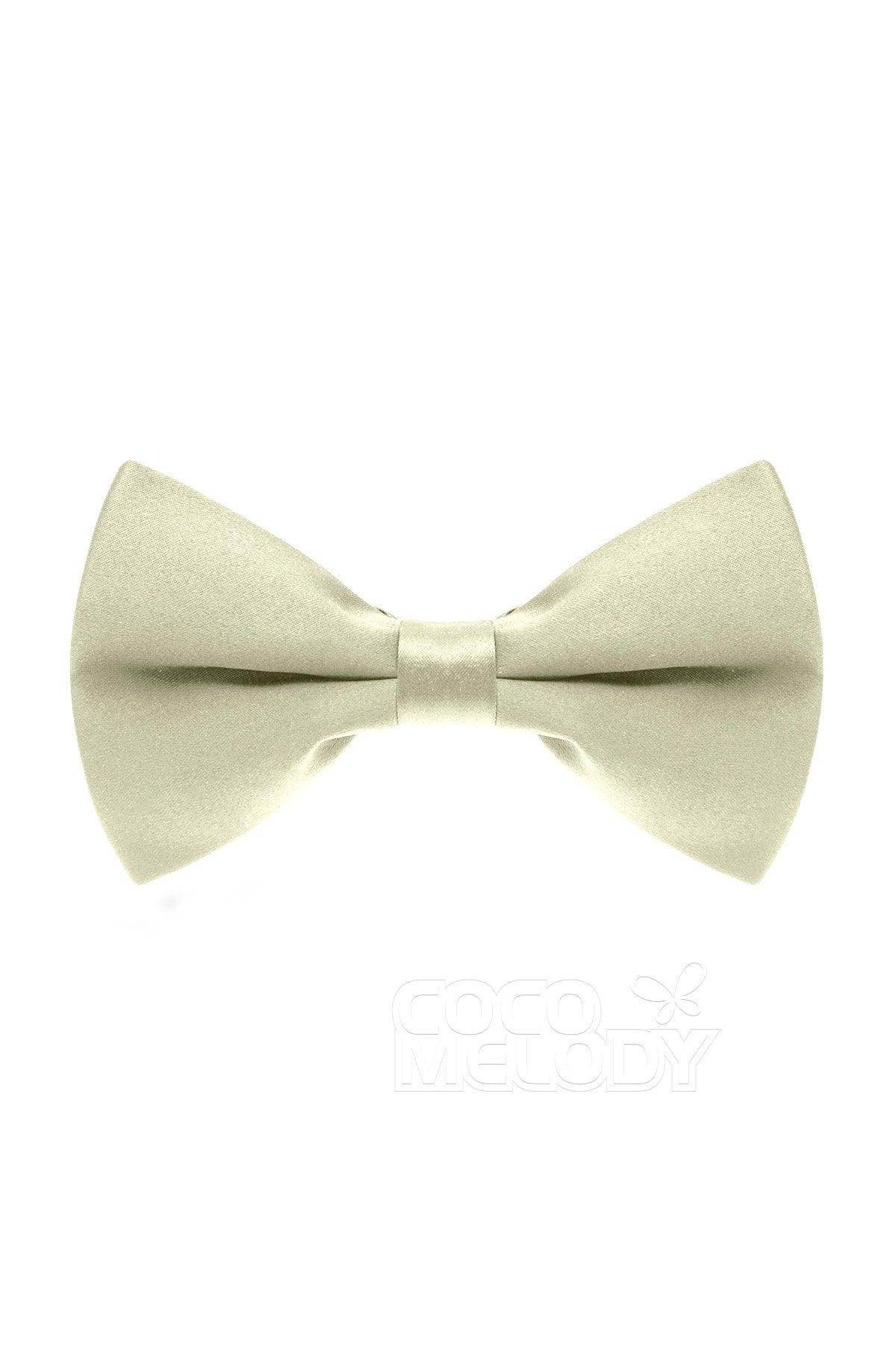 Men's Elastic Silk Like Satin Bow Ties CZ170016 - COCOMELODY