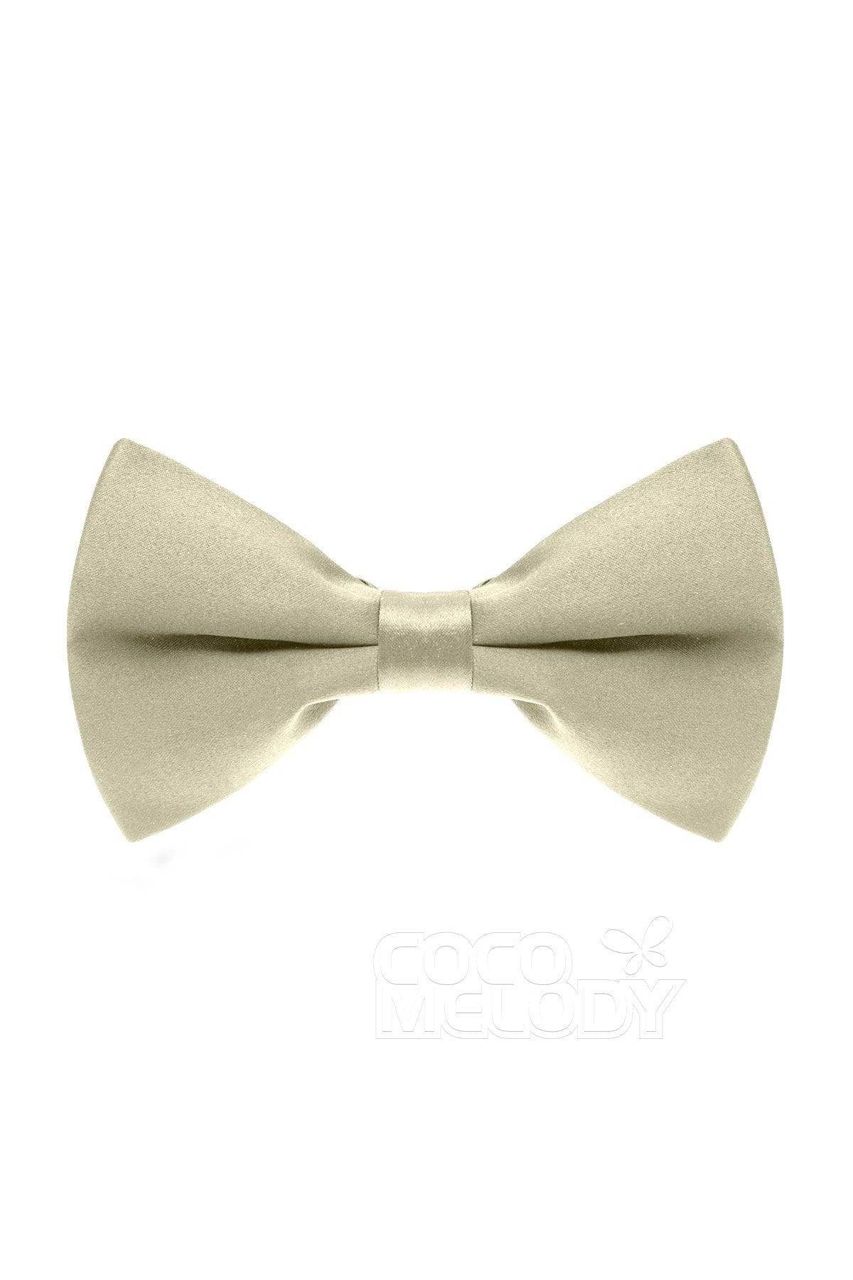Men's Elastic Silk Like Satin Bow Ties CZ170016 - COCOMELODY