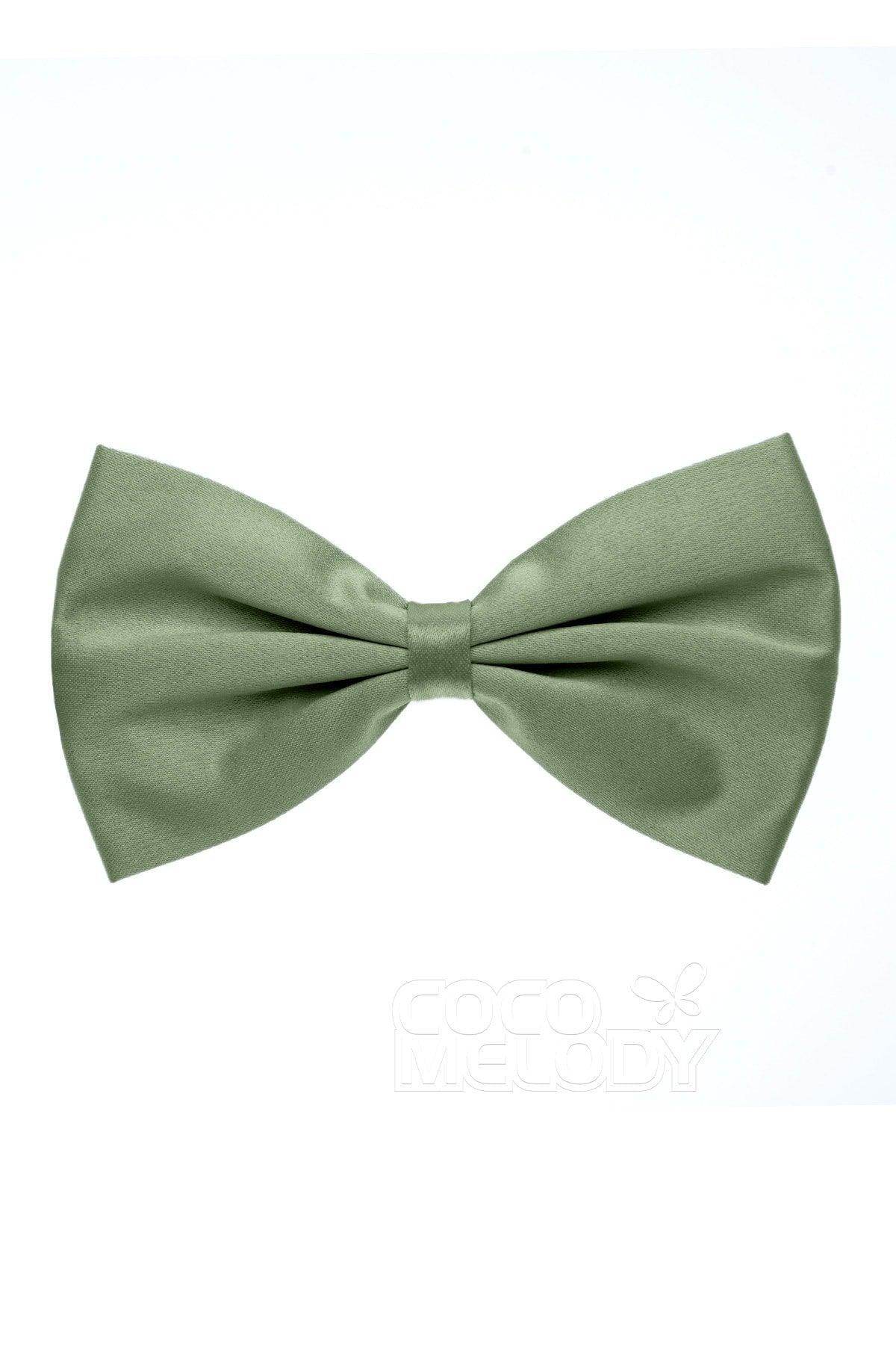 Men's Elastic Silk Like Satin Bow Ties CZ170017 - COCOMELODY