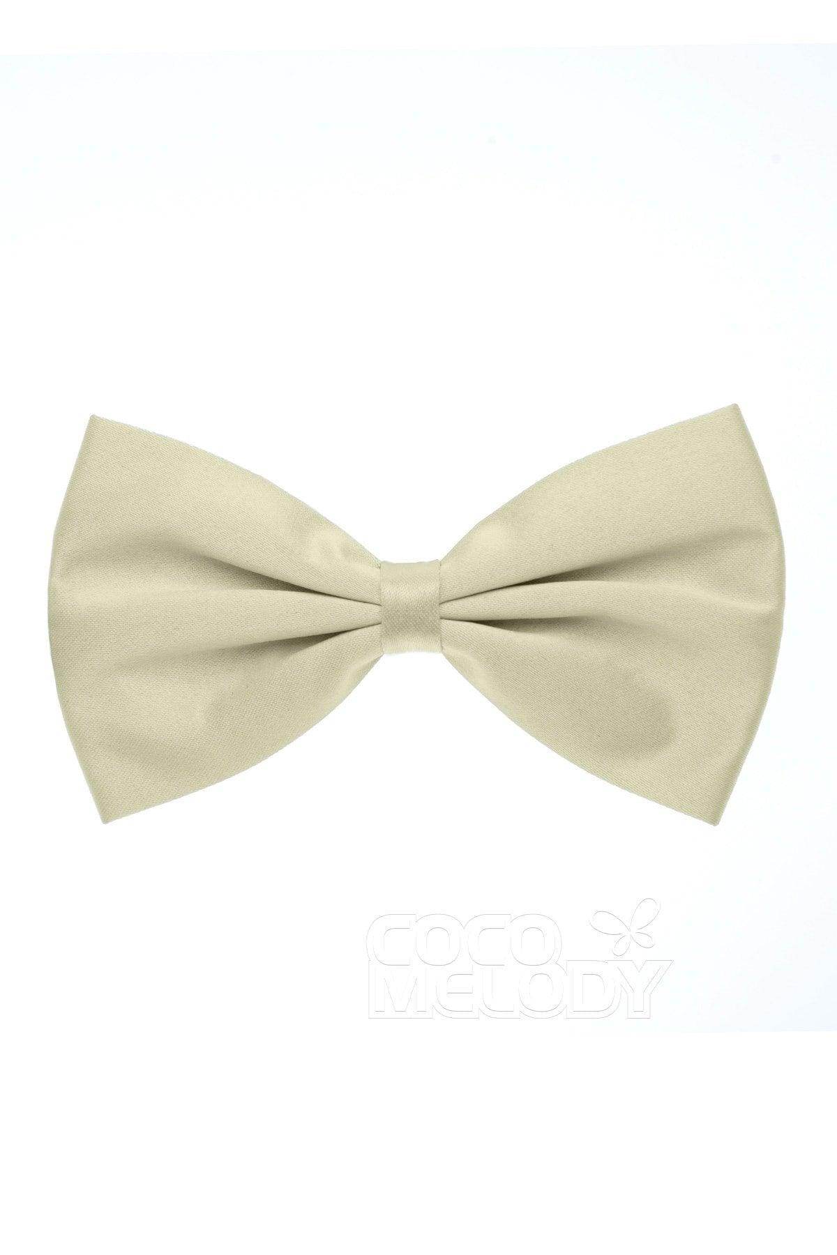 Men's Elastic Silk Like Satin Bow Ties CZ170017 - COCOMELODY