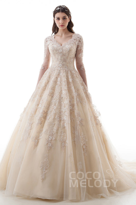 Princess Court Train Lace Tulle Gothic Wedding Dress LD4622
