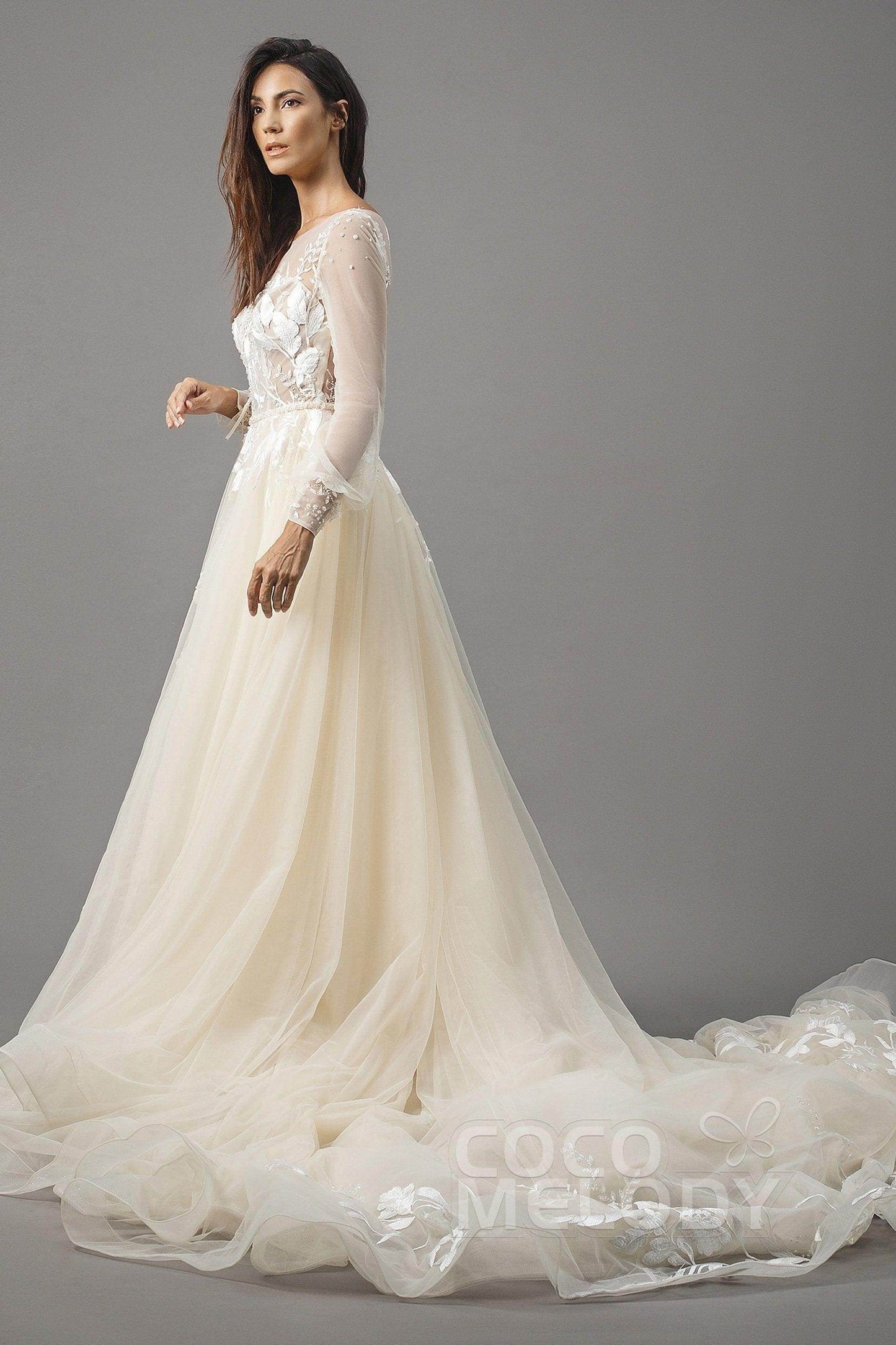 A-Line Chapel Train Tulle Wedding Dress LD5199 - COCOMELODY