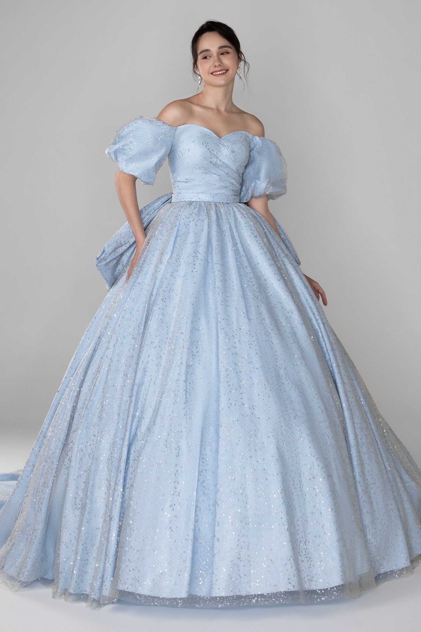 Ball Gown Chapel Train Tulle Wedding Dress CW2518