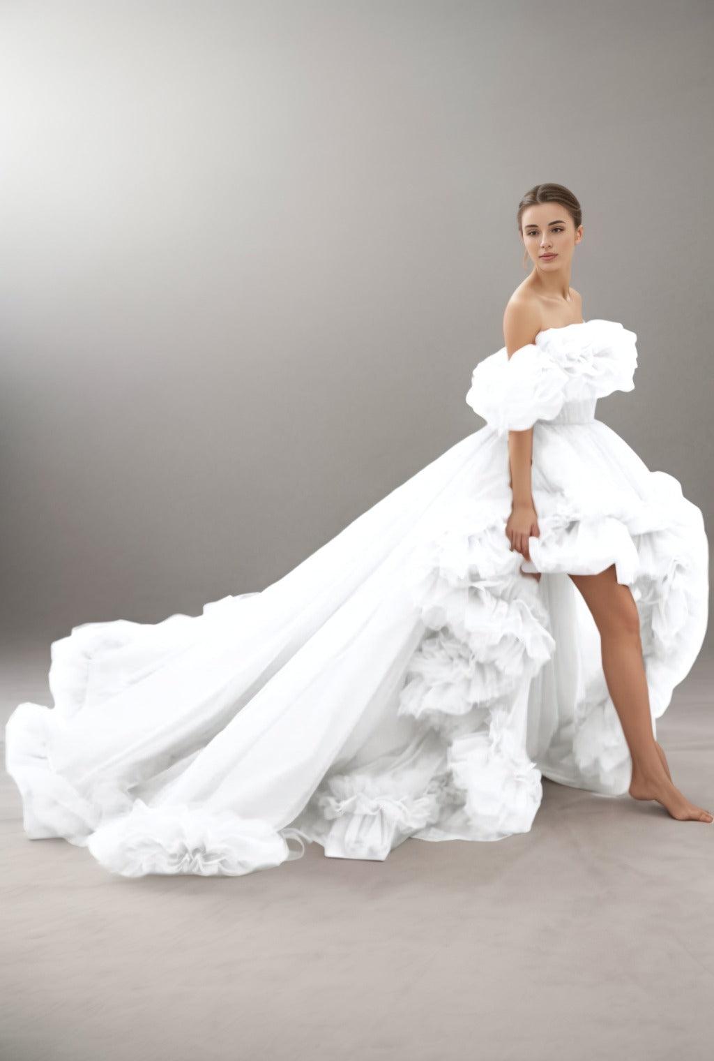 A-Line Court Train Tulle Prom Dress CS0406 - COCOMELODY