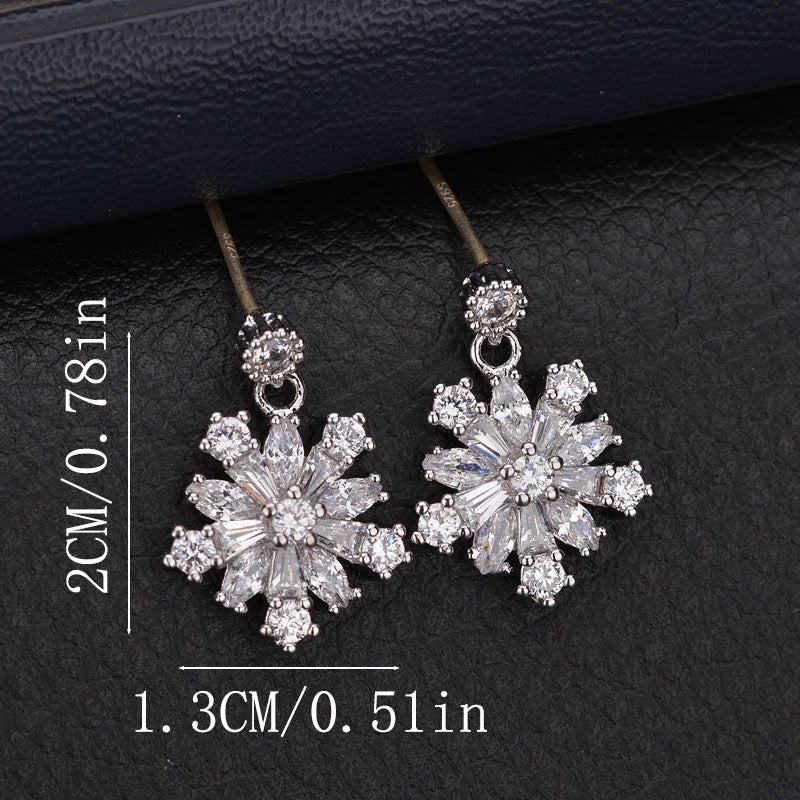 Luxurious Rhinestone Drop Earrings 791529625682