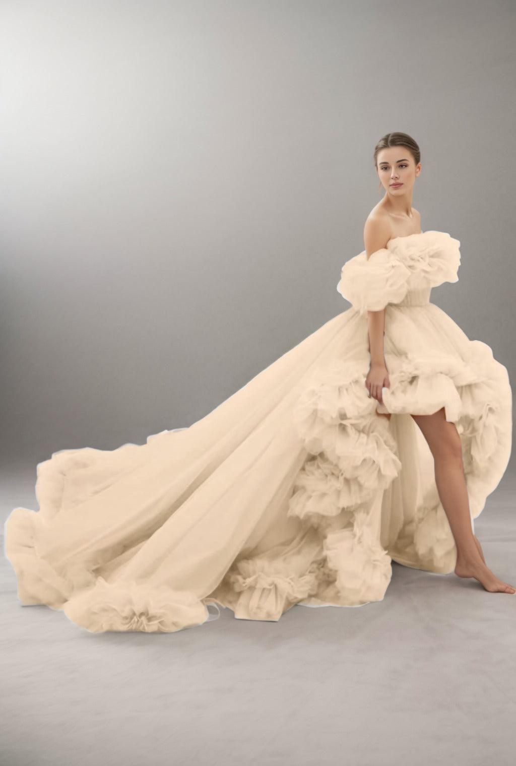 A-Line Court Train Tulle Prom Dress CS0406 - COCOMELODY